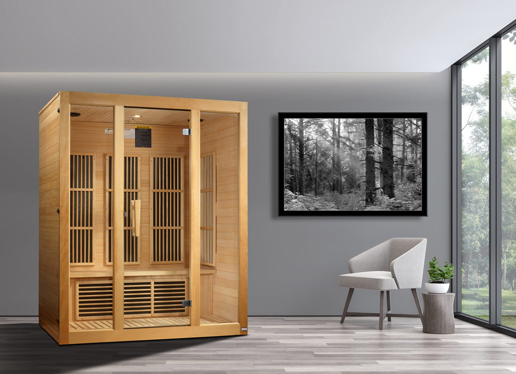 Bellevue / 3 Person Indoor Low EMF Hemlock Wood Sauna